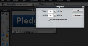 Pixlr Editor Image Resize, plxlr.com